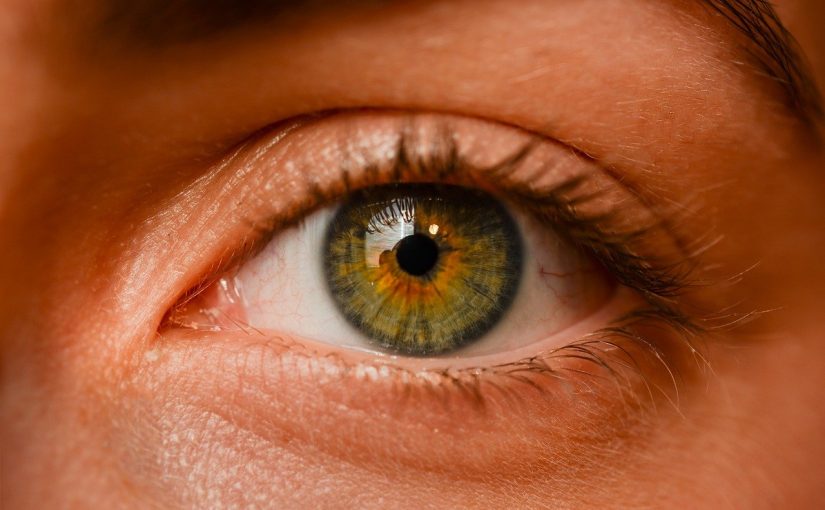 Oczy to niezwykły organ. To dokładnie dzięki nim doświadczamy.